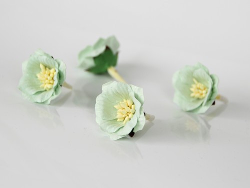 Senpolia "Mint", size 3-4 cm, 1 pc