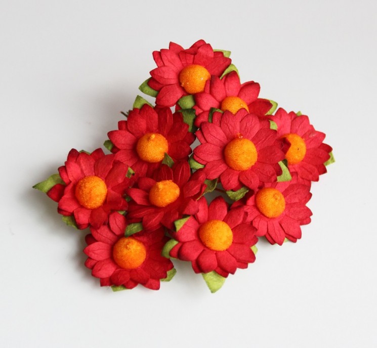Chamomile "Red", size 3.5 cm, 1 pc