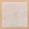 Decorative tracing paper with foil "Expression", size 20X20, 1 sheet