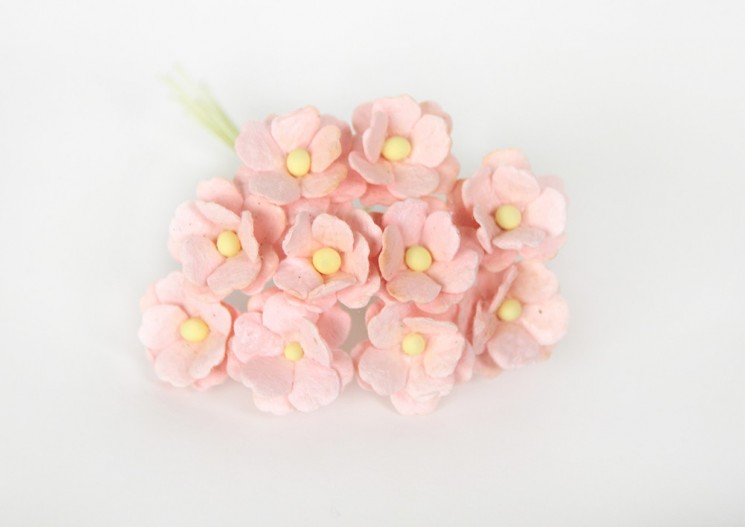 Cherry flowers are medium "Pink-peach light" size 1.5-2 cm 5 pcs