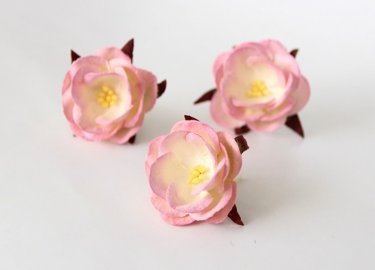 Wild rose "Light pink + cream" size 4.5 cm 1 piece