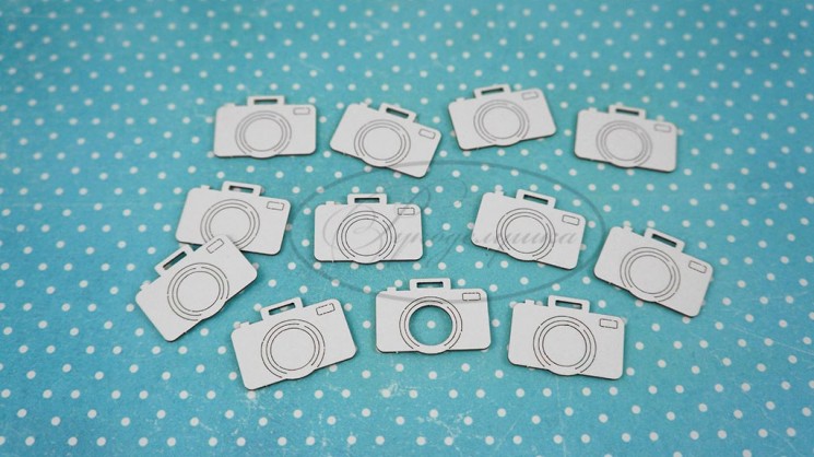 Chipboard Needlework set "Cameras", size 25x18 mm