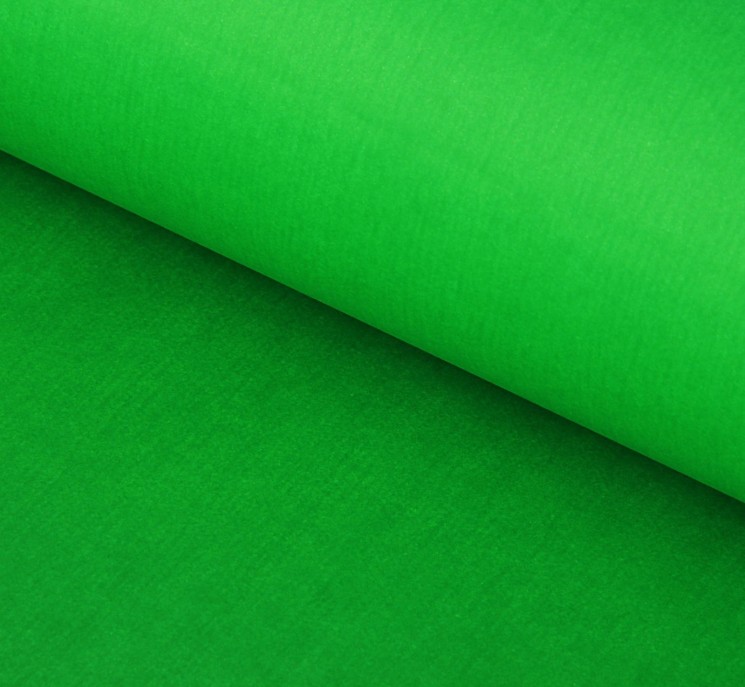 Paper "Tishyu" size 50x66 cm, color green, 1 sheet