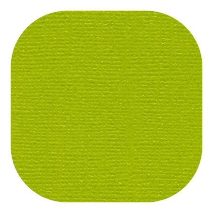 Cardstock textured color "Foliage color" size 30. 5X30. 5 cm, 235 g/m2