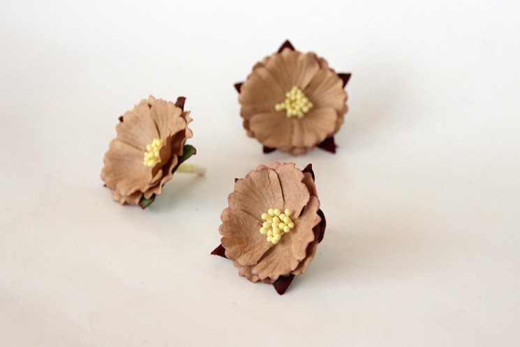 Chinese peony "Coffee with milk" size 6 cm 1 pc