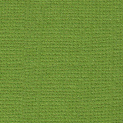 Кардсток текстурированный Mr.Painter, цвет "Оливковый венок" размер 30,5Х30,5 см, 216 г/м2