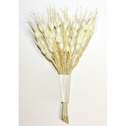 Decorative bouquet "Spikelets" cream, 12pcs, length 10cm