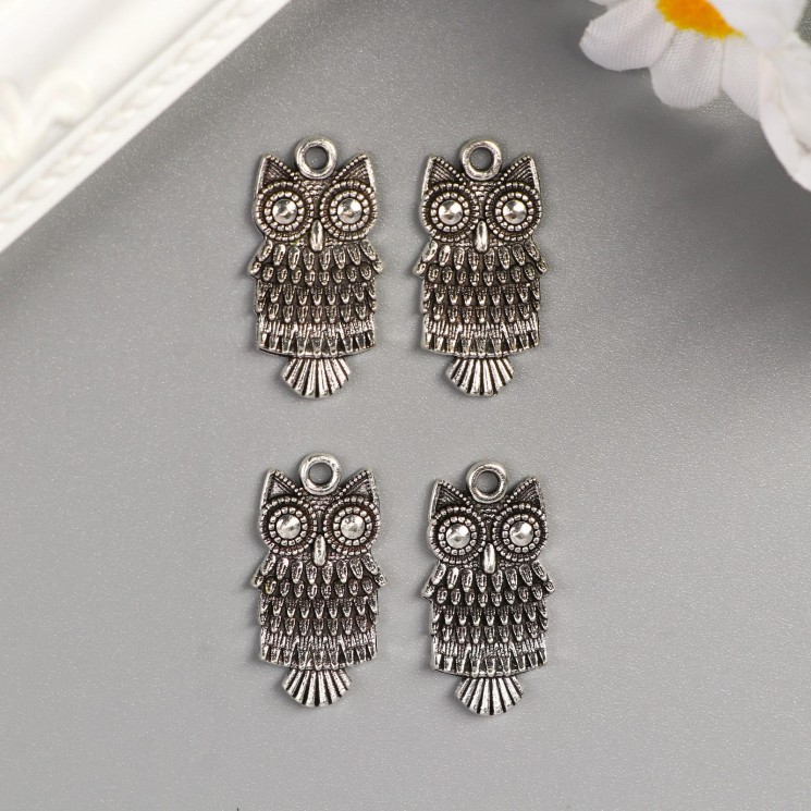 Decor for creativity "Spectacled Owl", silver, 2. 5X1. 2 cm, 1 piece