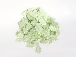 Листья остролиста без стебельков "Мятные" размер 4Х2,5 см 10 шт