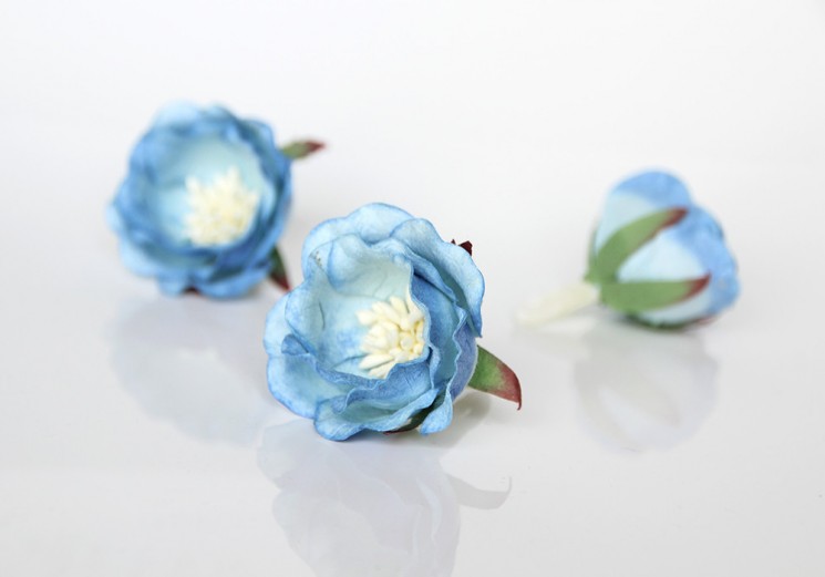 Полиантовая роза "Голубая двухтоновая" размер 4,5 см 1шт