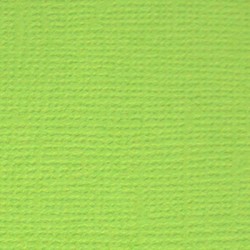 Кардсток текстурированный Mr.Painter, цвет "Зелёное яблоко" размер 30,5Х30,5 см, 216 г/м2