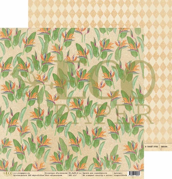 Double-sided sheet of paper EcoPaper Tropicana "Strelitsia" size 30.5*30.5 cm, 250g