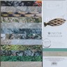 Set of one-sided paper with foil Art Pattern "For fishing", 12 sheets, size 30. 5x30. 5 cm, 250 g /m2