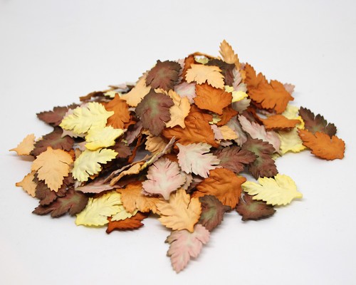 Rosehip leaves without stems "Brown mix" size 3. 5X2. 5 cm 10 pcs