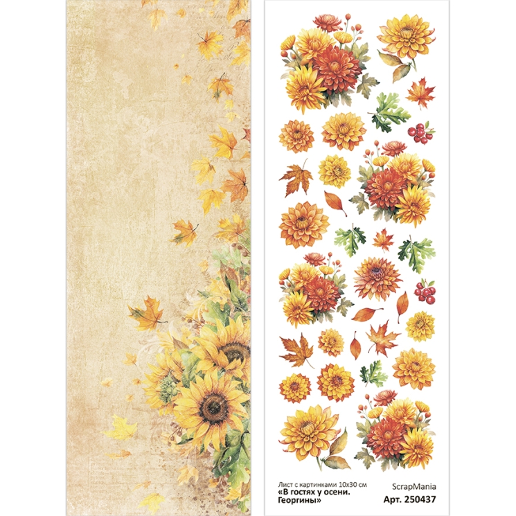 Лист с картинками 10х30 см "В гостях у осени. Георгины" (ScrapMania), 180 гр