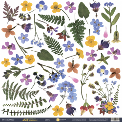 Односторонний лист бумаги ScrapМир Herbarium Wild summer "Декор" размер 30*30см, 190гр