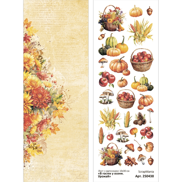 Лист с картинками 10х30 см "В гостях у осени. Урожай" (ScrapMania), 180 гр 