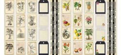 Набор полос с картинками для декорирования Botany exotic 5 шт 5х30,5 см, Фабрика Декору