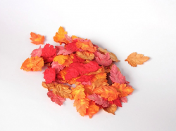 Листья шиповника без стебельков "Красный микс" размер 3,5Х2,5 см 10 шт