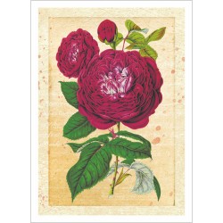 Тканевая карточка "Летняя феерия. Розы", размер 9*6.5 см  (ScrapMania)