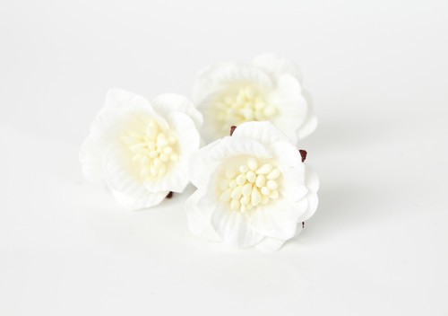 Senpolia "White", size 3-4 cm, 1 pc