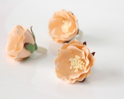 Polyanthus rose 