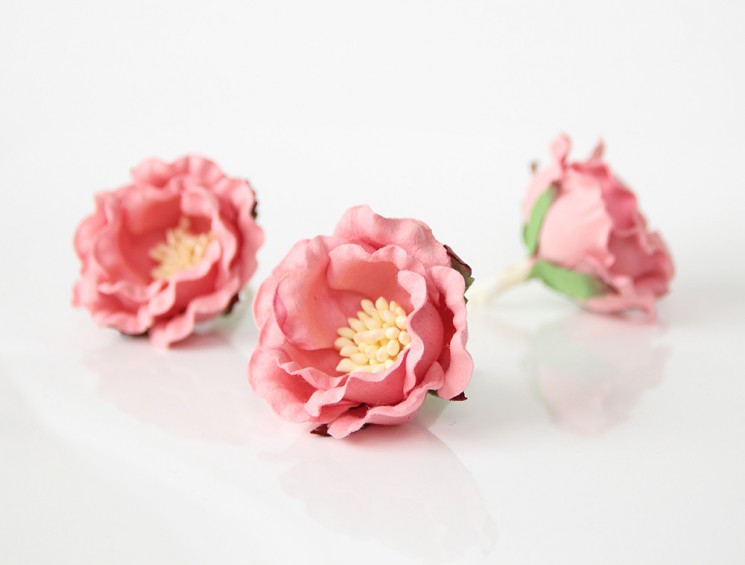 Полиантовая роза "Розово-персиковая темная" размер 4,5 см 1шт