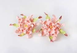 Гардении "Розовоперсиковые", размер 4,5 см, 1 шт