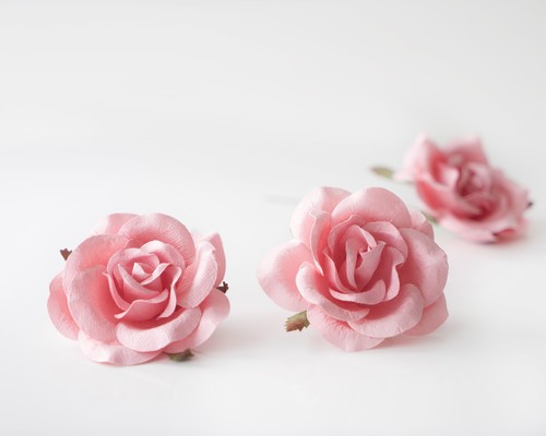 Коттеджная роза "Розовоперсиковые" размер 6-7 см 1 шт