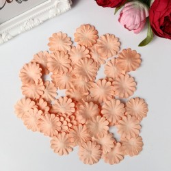 Set of paper petals 