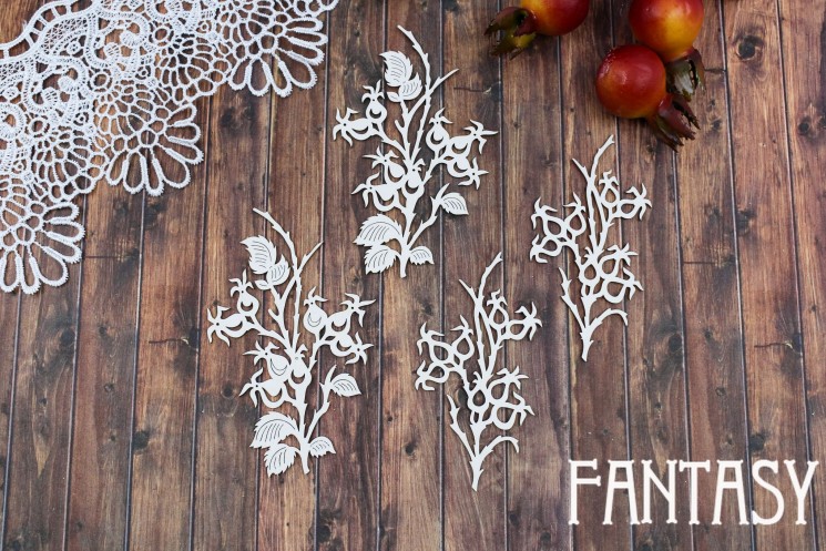 Chipboard Fantasy Set "Rosehip Twigs 2464" size 9.1*6 and 8*4.5 cm