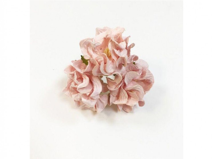 Gardenias "Rosy-peach" size 6cm, 1 piece 