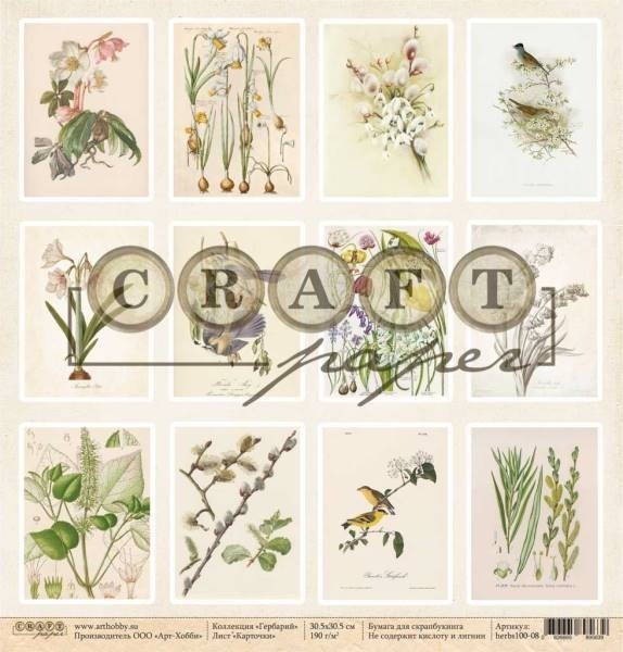 One-sided sheet of paper CraftPaper Herbarium "Cards" size 30.5*30.5 cm, 190gr