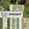 Набор бумаги 30,5х30,5 см "Заповедник", 12 листов (ScrapMania)