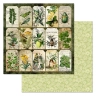 Набор бумаги 30,5х30,5 см "Заповедник", 12 листов (ScrapMania)