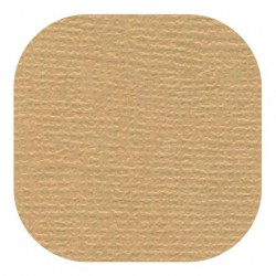 Cardstock textured color 