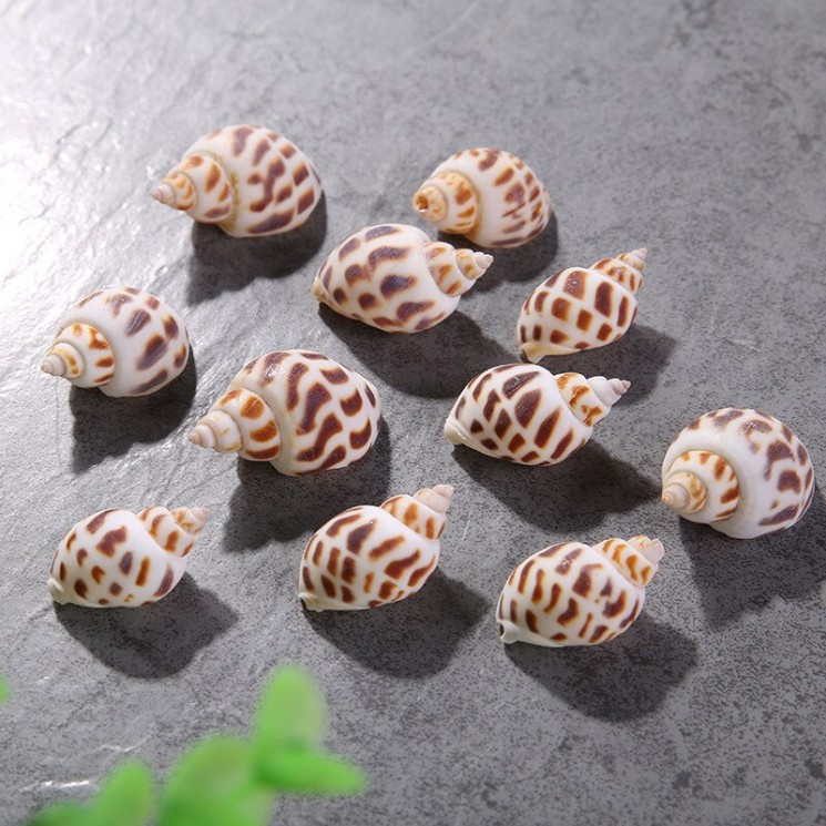 Decorative shells "Leopard", 2 pcs