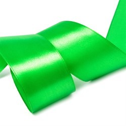 Атласная лента "Светло-зеленая", ширина 2,5 см, длина 5,6 м