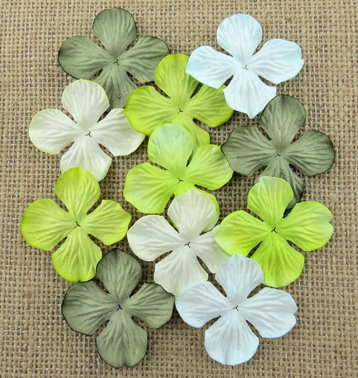 Hydrangeas "Green mix" size 5 cm 10 pcs