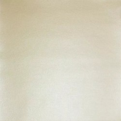 Кардсток перламутровый Mr.Painter, цвет "Шампань" размер 30,5Х30,5 см, 250 г/м2