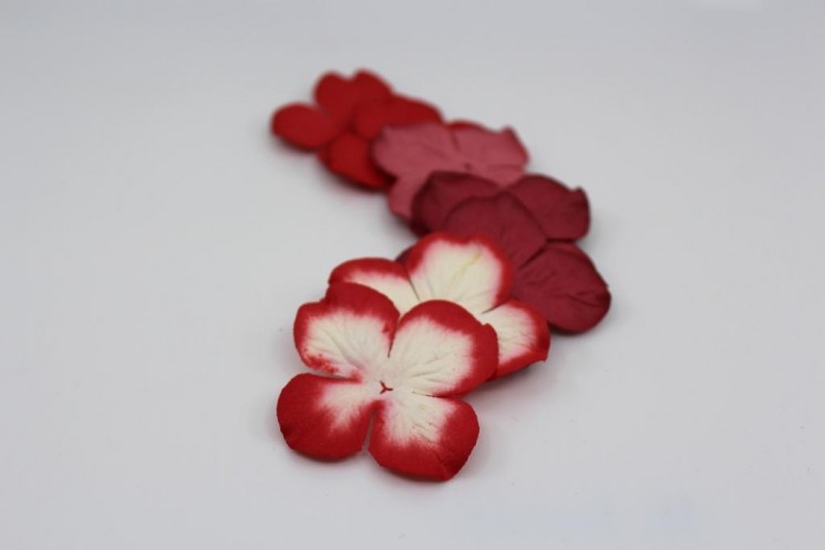 Hydrangeas "Red mix" size 5 cm 10 pcs