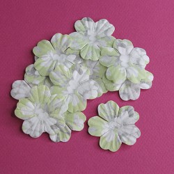 Set of paper petals 