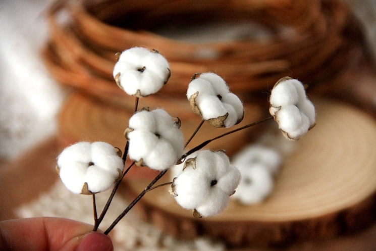 Набор цветов из ткани ручной работы Rosalina "Хлопок", 2 веточки + 3 коробочки хлопка