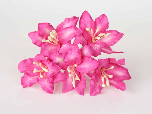 Lilies "Fuchsia" size 2x2. 5 cm 5 pcs