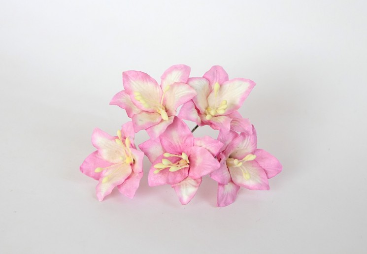 Lilies "Pink+white" size 2x2. 5 cm 5 pcs