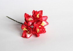 Лилии "Красный+белый" размер 2х2,5 см 5 шт