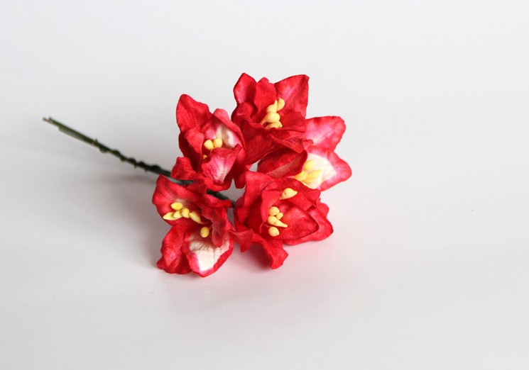 Lilies "Red+white" size 2x2. 5 cm 5 pcs