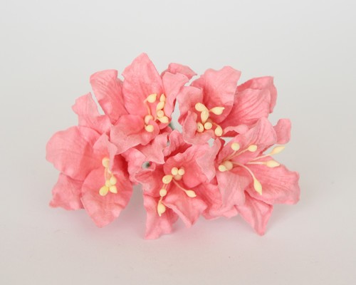 Lilies "Coral" size 2x2. 5 cm 5 pcs 