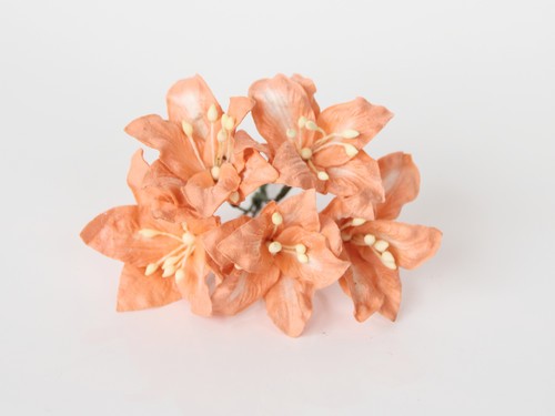 Lilies "Orange" size 2x2. 5 cm 5 pcs