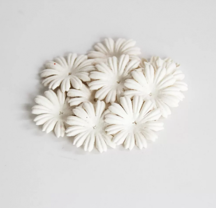 Daisy petals "White" size 2.5 cm 10 pcs